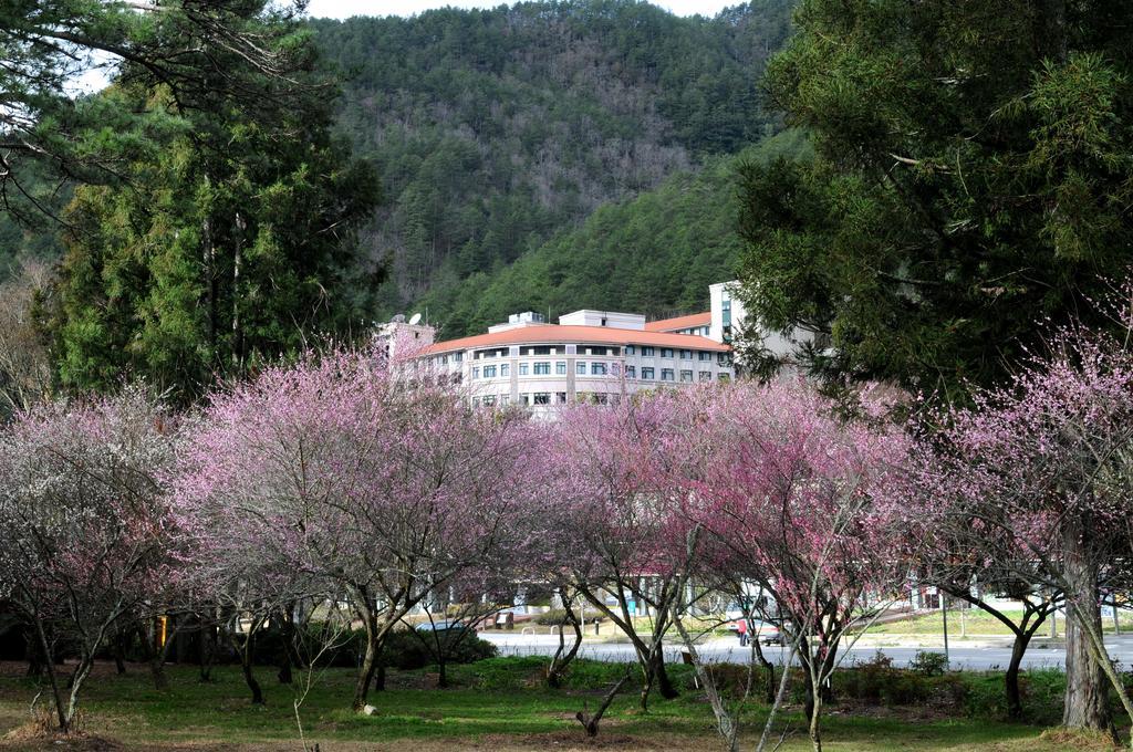 הפינג Hoya Resort, Wuling מראה חיצוני תמונה